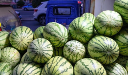 瓜视频,揭秘娱乐圈幕后故事，带你走进明星真实生活