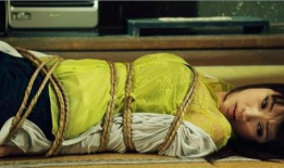 绳艺捆绑视频,探索束缚之美与情感交流